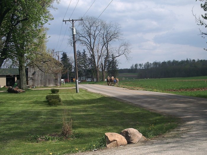 Amish_Spring_Plowing.jpg