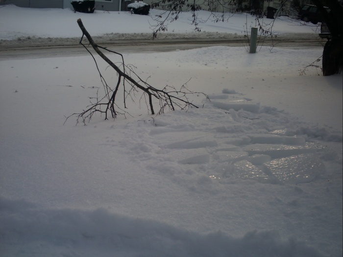 Ice I pitched next to limb.JPG