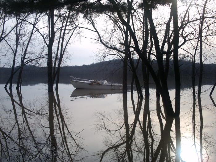 Sail Boat floated down the lake about a mile and is anchored to a tree