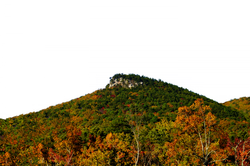 Cheaha State Park YoWindow Landscape