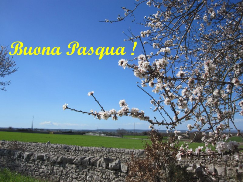 buona pasqua.jpg