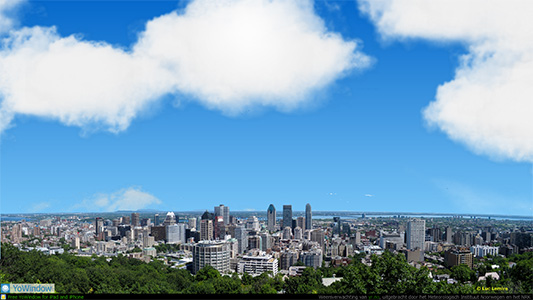 montreal_.jpg