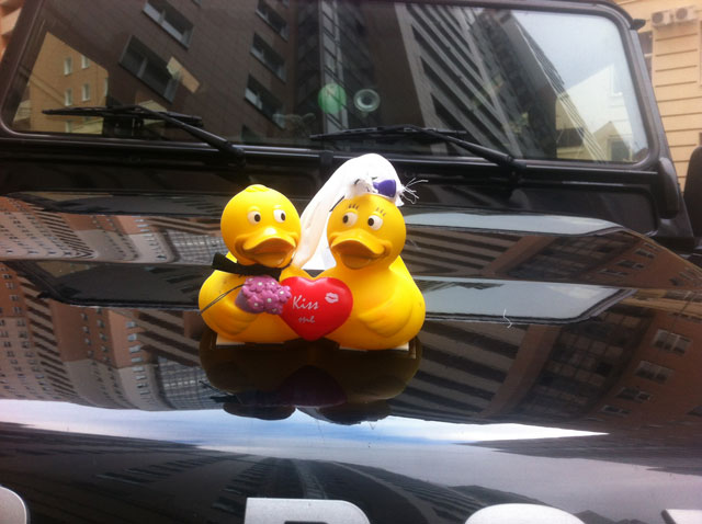 duck_car.jpg
