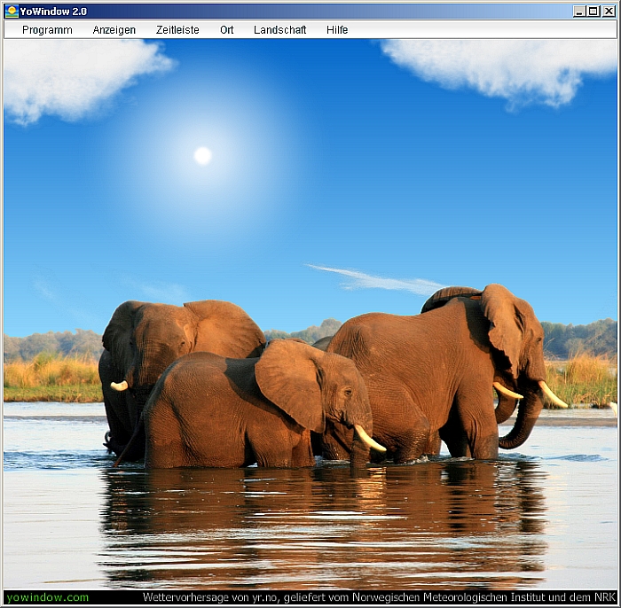 YoWindow - Screenshot Elephants on safari, Zambia.jpg