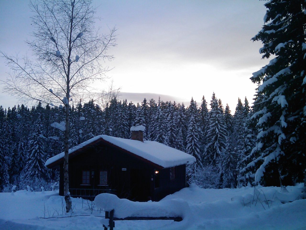 Hytta januar 2010 2.jpg