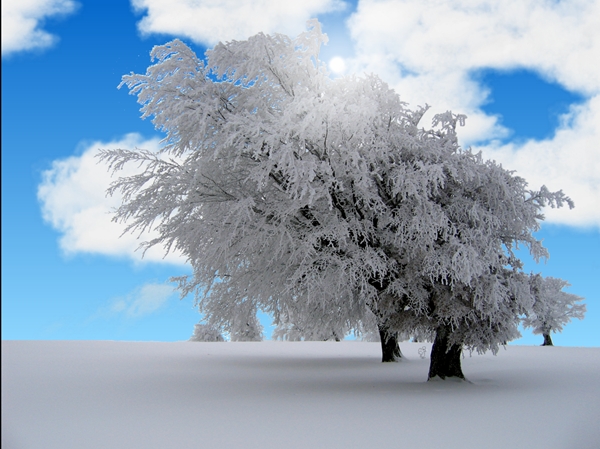 screen winter12.jpg
