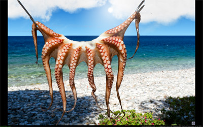 octopussy.jpg
