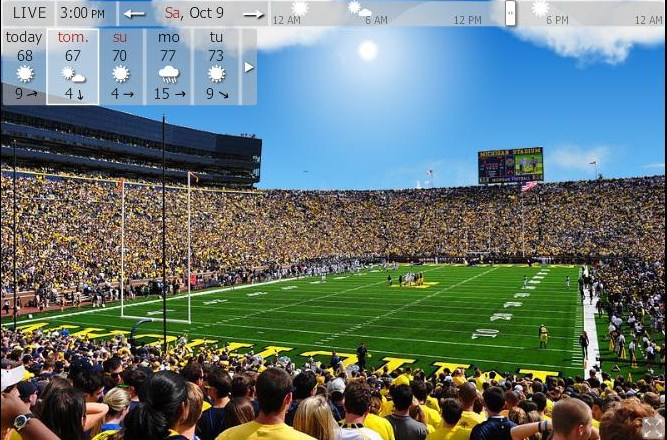 stadiummichigan.JPG