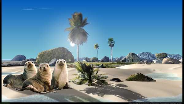 screen paradisebeach2.jpg