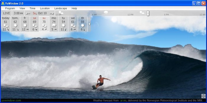 Surf is Up.jpg