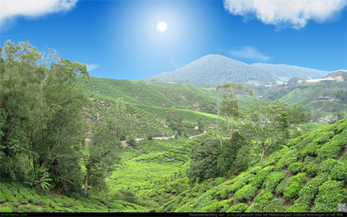 Cameron Highlands  Maleisie.jpg