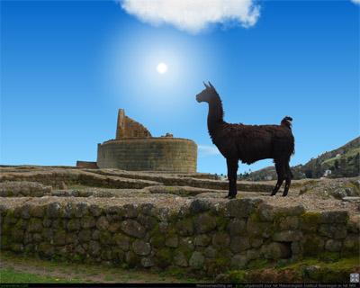 lama 2.jpg