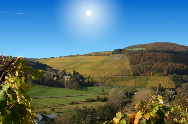 screen weinberge herbst.jpg