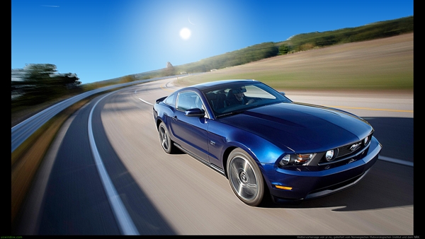 screen mustang.jpg