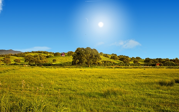 screen autumn hill.jpg