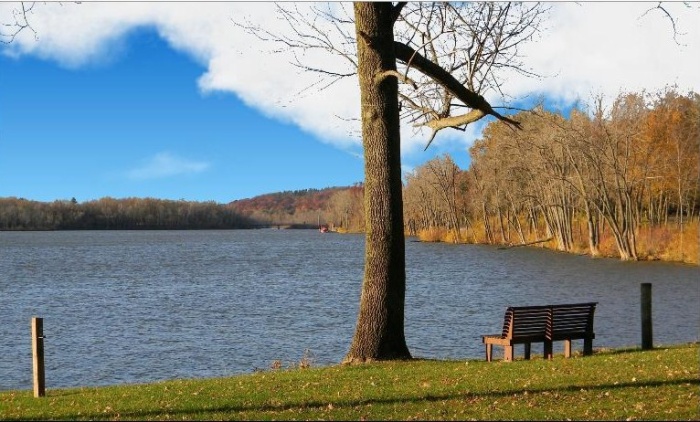 Enjoying Last Autumn Leaves.JPG