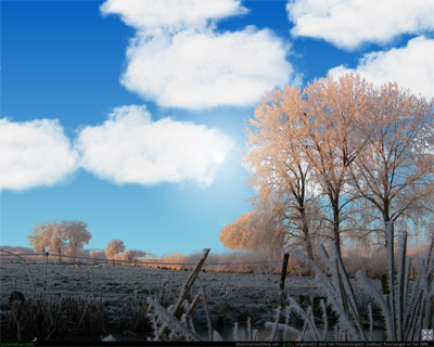 winter4.jpg