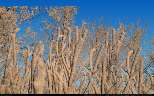 winter10.jpg