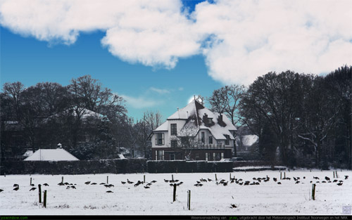 culemborg2.jpg