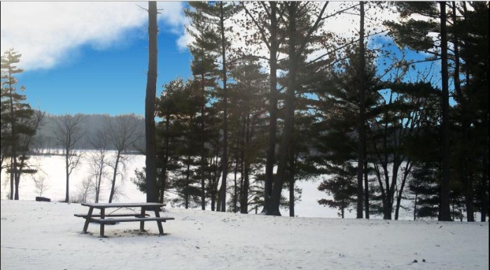 Winter by the Lake.JPG