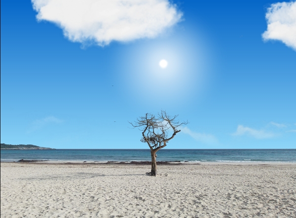 screen strandbaum.jpg