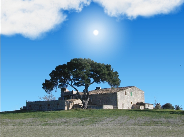 screen baumfinca.jpg