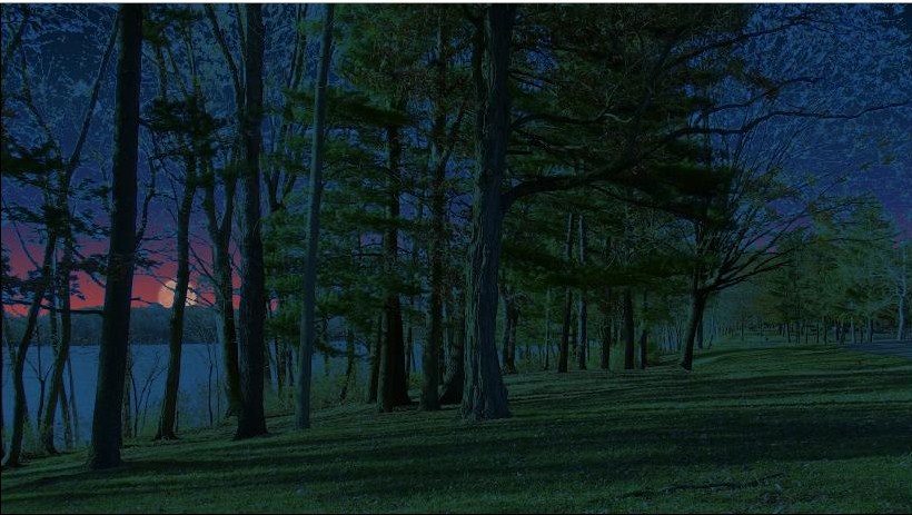 End Of Leaves Sunset.JPG