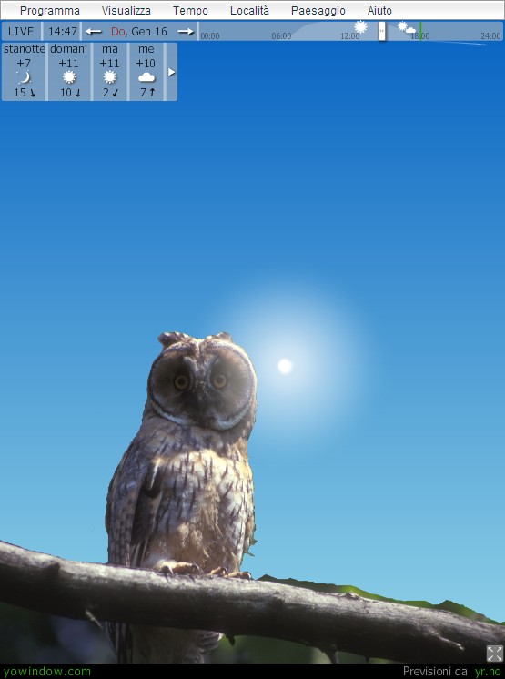 beautifulnight.jpg