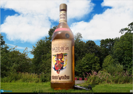 captain morgan.jpg