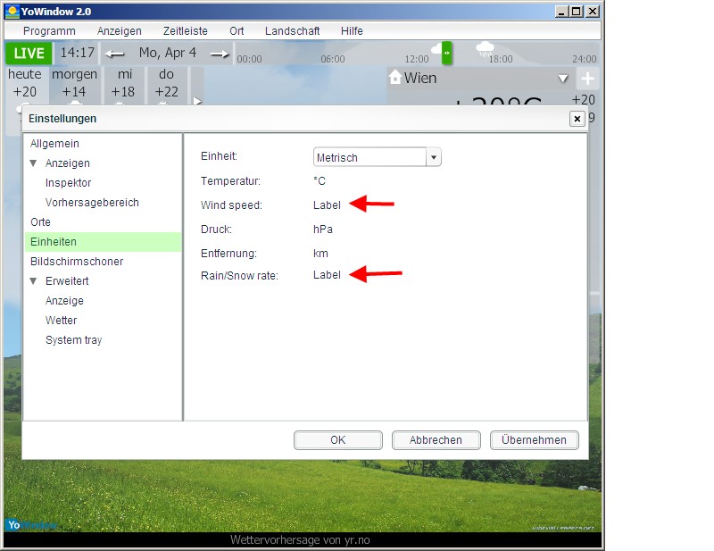 YoWindow - RC443 - Options Units Metric.jpg
