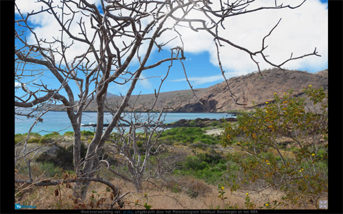 galapagos17.jpg