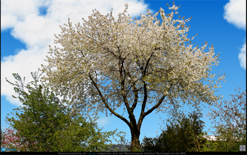 spring.jpg