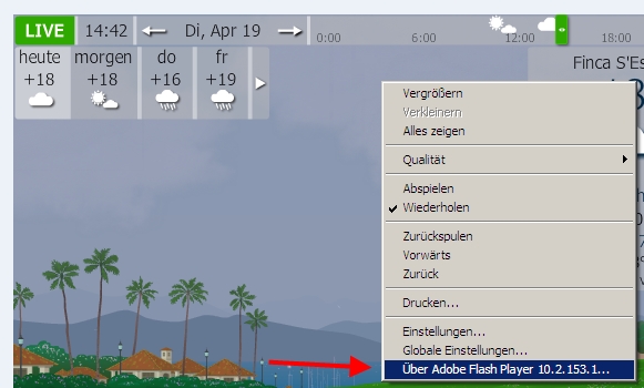 YoWindow - Widget - version of flash-player installed.jpg