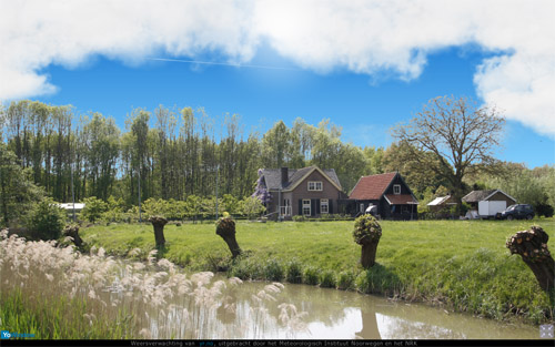 landscape5.jpg