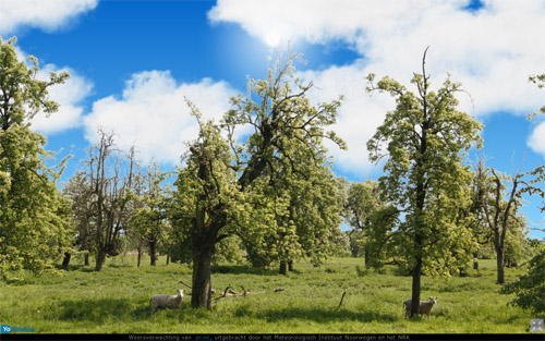 landscape8.jpg