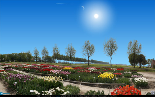tulpenveld3.jpg