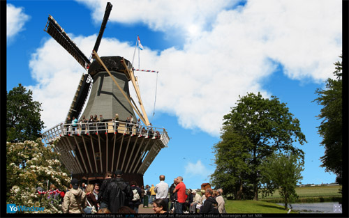 keukenhof2.jpg