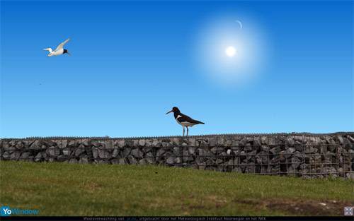 birds.jpg