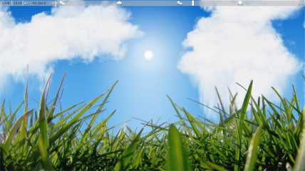 grass2.jpg