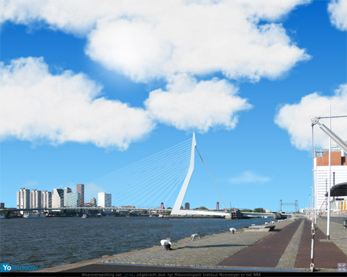rotterdam.jpg