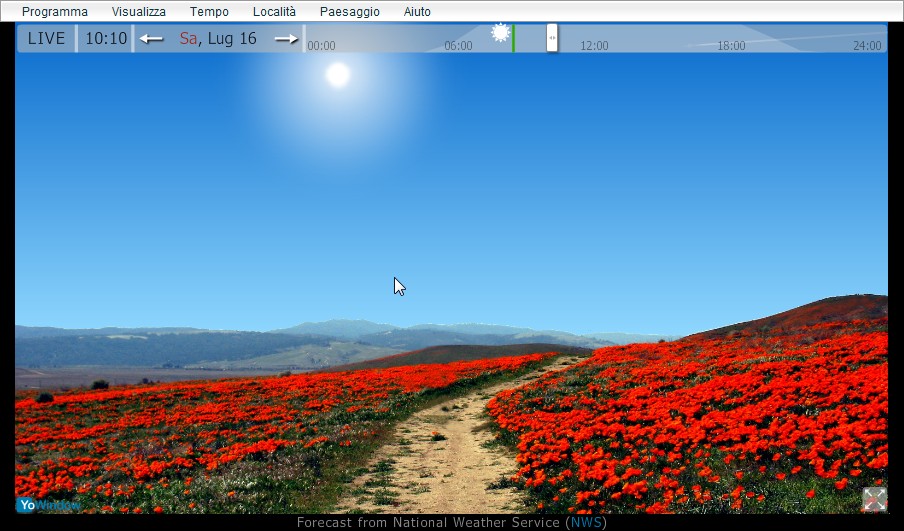 poppies1.jpg