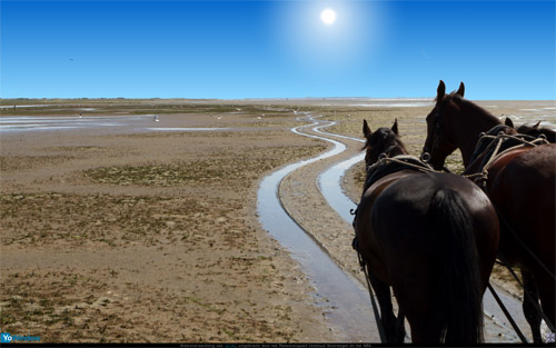 paarden2.jpg