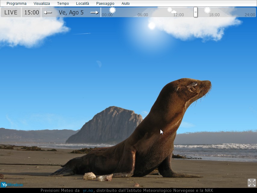 sealion.jpg