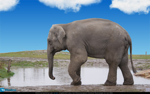 olifant.jpg