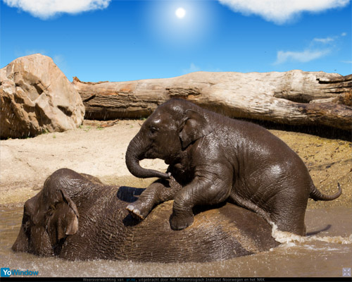 olifant.jpg