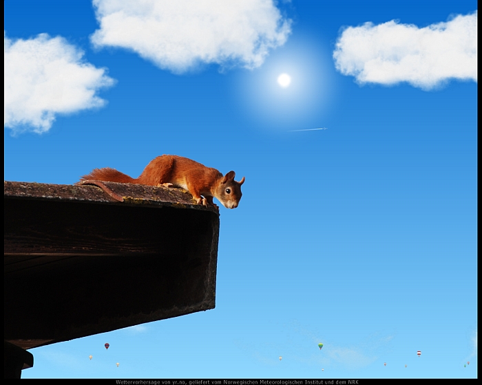 YoWindow - Screenshot Squirrel on the roof.jpg