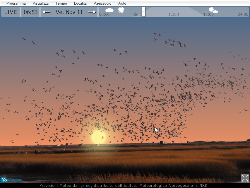 birds.jpg