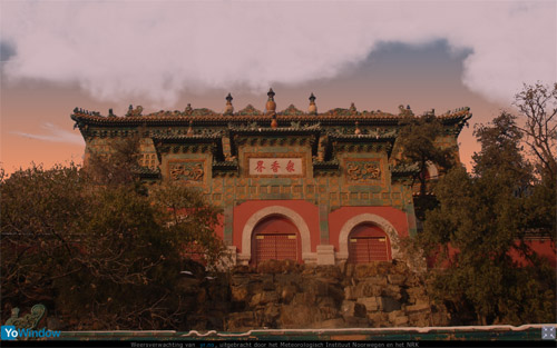 shanghai2.jpg