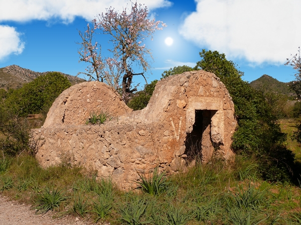 screen sheep barn.jpg