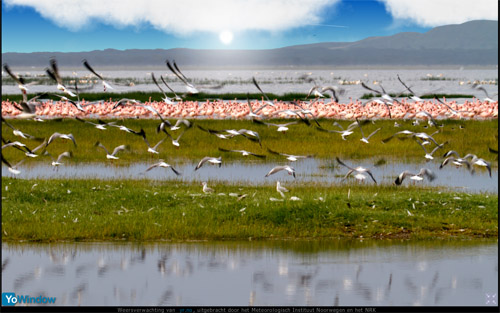 birds1.jpg